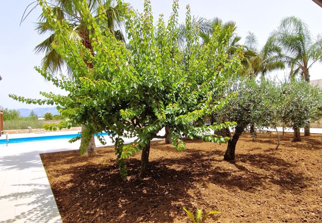 Villa in Alcamo - Villa Paradiso Villa in Alcamo - Villa Paradiso