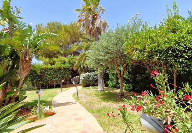 Villa in San Vito Lo Capo - Villa Sole D'Oro Villa in San Vito Lo Capo - Villa Sole D'Oro