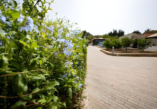 Villa in San Vito Lo Capo - Villa Carmen with private pool sleeps 6 Villa in San Vito Lo Capo - Villa Carmen with private pool sleeps 6