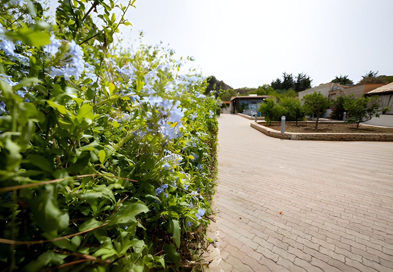 Villa in San Vito Lo Capo - Villa Carmen with private pool sleeps 6 Villa in San Vito Lo Capo - Villa Carmen with private pool sleeps 6