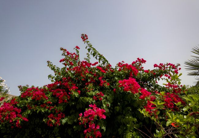 Villa à San Vito Lo Capo - Villa Carmen avec piscine privée pour 6 personnes Villa à San Vito Lo Capo - Villa Carmen avec piscine privée pour 6 personnes