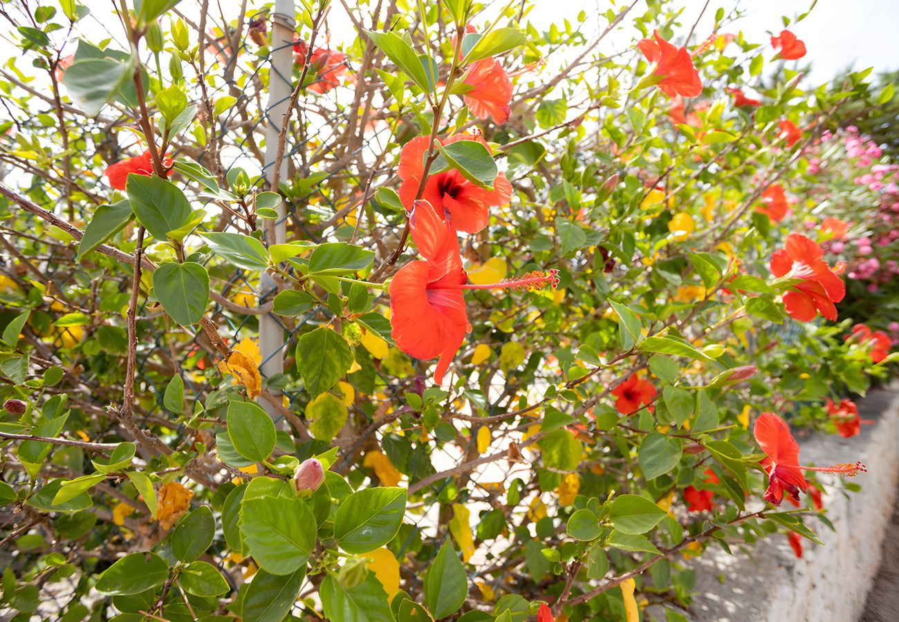Villa à San Vito Lo Capo - Villa Carmen avec piscine privée pour 6 personnes Villa à San Vito Lo Capo - Villa Carmen avec piscine privée pour 6 personnes